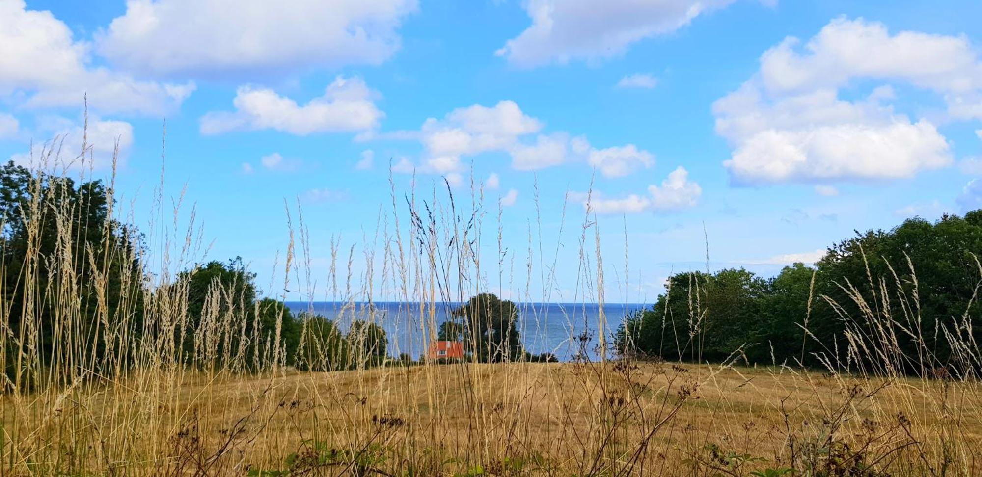 Pyttegården Apartments Gudhjem Eksteriør bilde
